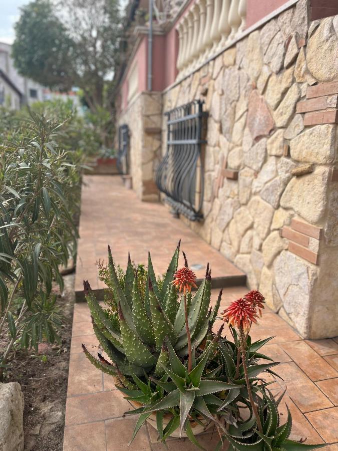B&B Villa Regina Santa Domenica  Eksteriør bilde